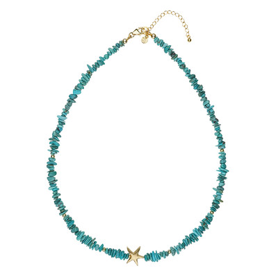 Collier en argent et Turquoise