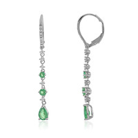 Boucles d'oreilles en or et Grenat Tsavorite AAA (CIRARI)