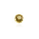 Gemme et Béryl jaune 0,68 ct