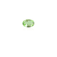 Grenat vert menthe de Merelani 0,618 ct (gemme et boîte de collection)