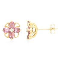 Boucles d'oreilles en or et Saphir Padparadscha non chauffé (AMAYANI)