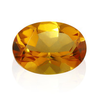  Citrine mandarine (gemme et boîte de collection)