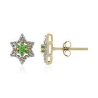 Boucles d'oreilles en or et Grenat Tsavorite (Adela Gold)