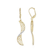 Boucles d'oreilles en argent et Zircon