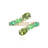 Bague en or et Tourmaline verte (KM by Juwelo)