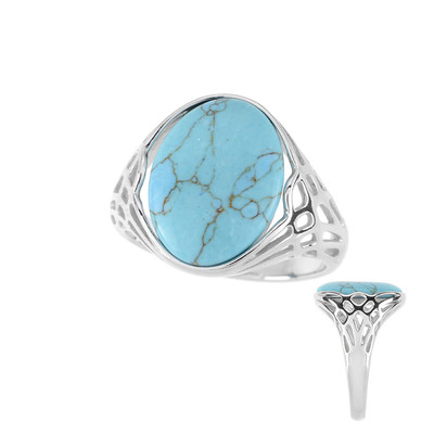 Bague en argent et Turquoise (dagen)