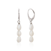 Boucles d'oreilles en argent et Nacre