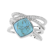 Bague en argent et Turquoise (dagen)