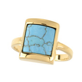 Bague en argent et Turquoise (dagen)