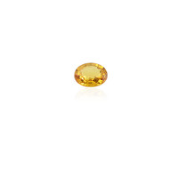  Saphir jaune de Ceylan 0,371 ct (gemme et boîte de collection)