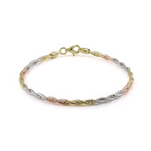 Bracelet en argent (MONOSONO COLLECTION)