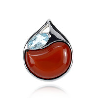 Pendentif en argent et Ambre baltique