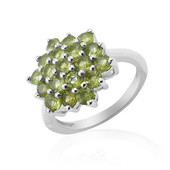 Bague en argent et Vésuvianite