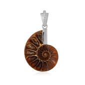 Pendentif en argent et Ammonite