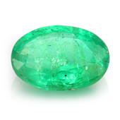 Gemme et Emeraude de Zambie 1,26 ct