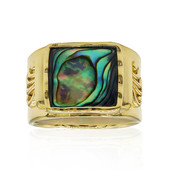 Bague en argent et Coquillage d'Abalone (Art of Nature)