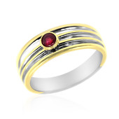 Bague en argent et Rubis (MONOSONO COLLECTION)