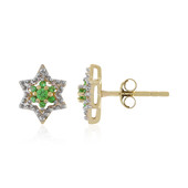 Boucles d'oreilles en or et Grenat Tsavorite (Adela Gold)