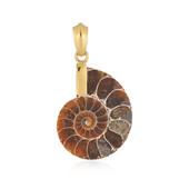 Pendentif en argent et Ammonite