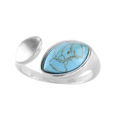 Bague en argent et Turquoise (dagen)