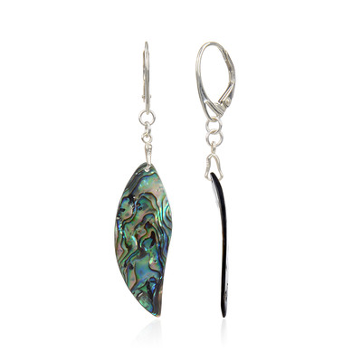 Boucles d'oreilles en argent et Coquillage d'Abalone