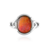 Bague en argent et Ammolite