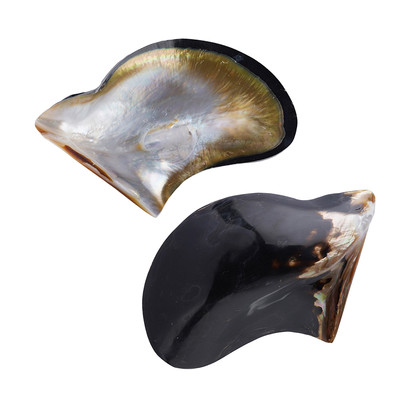 Accessoire et Coquillage d'Abalone (Bali Barong)