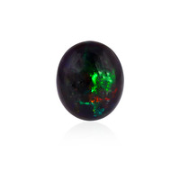  Opale Mezezo 6,65 ct (gemme et boîte de collection)