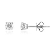 Boucles d'oreilles en or et Diamant I1 (H) (CIRARI)