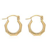 Boucles d'oreilles en or