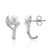 Boucles d'oreilles en argent et Perle de culture d'eau douce (TPC)