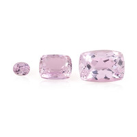  Kunzite 7,65 ct (gemme et boîte de collection)