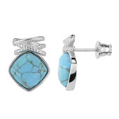 Boucles d'oreilles en argent et Turquoise (dagen)