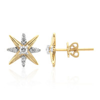 Boucles d'oreilles en or et Diamant IF (D)