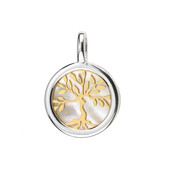 Pendentif en argent et Nacre (dagen)