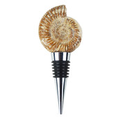 Accessoire et Ammonite