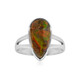 Bague en argent et Ammolite