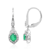 Boucles d'oreilles en or et Emeraude de Zambie AAA