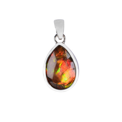 Pendentif en argent et Ammolite