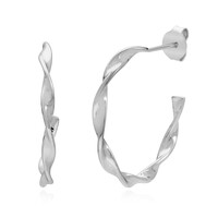 Boucles d'oreilles en argent