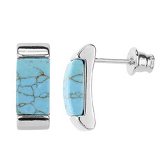 Boucles d'oreilles en argent et Turquoise