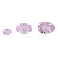  Kunzite 12,888 ct (gemme et boîte de collection)