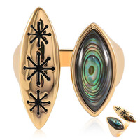 Bague en argent et Coquillage d'Abalone (TPC)