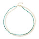 Collier en argent et Turquoise