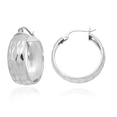 Boucles d'oreilles en argent