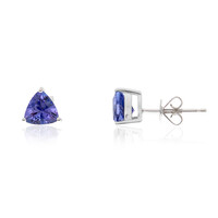 Boucles d'oreilles en or et Tanzanite AAA