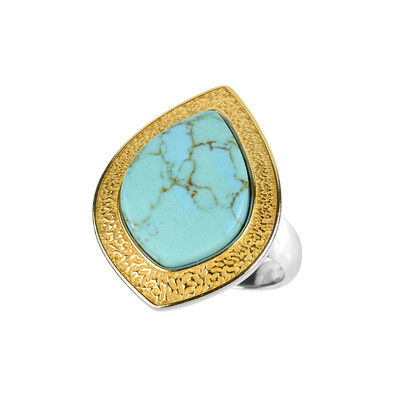 Bague en argent et Turquoise (dagen)