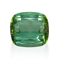  Tourmaline verte (gemme et boîte de collection)