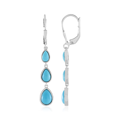 Boucles d'oreilles en argent et Turquoise Sleeping Beauty