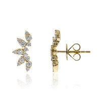 Boucles d'oreilles en or et Diamant I1 (G) (CIRARI)